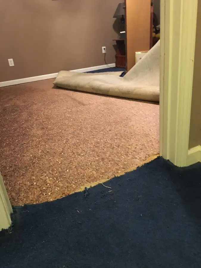Carpet pad removal revealing water damage during Water Mitigation Services in Glenvar Heights