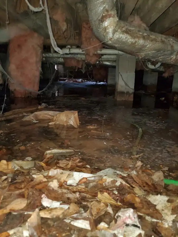Crawl space flood assessment for Leak Detection & Repair in Glenvar Heights