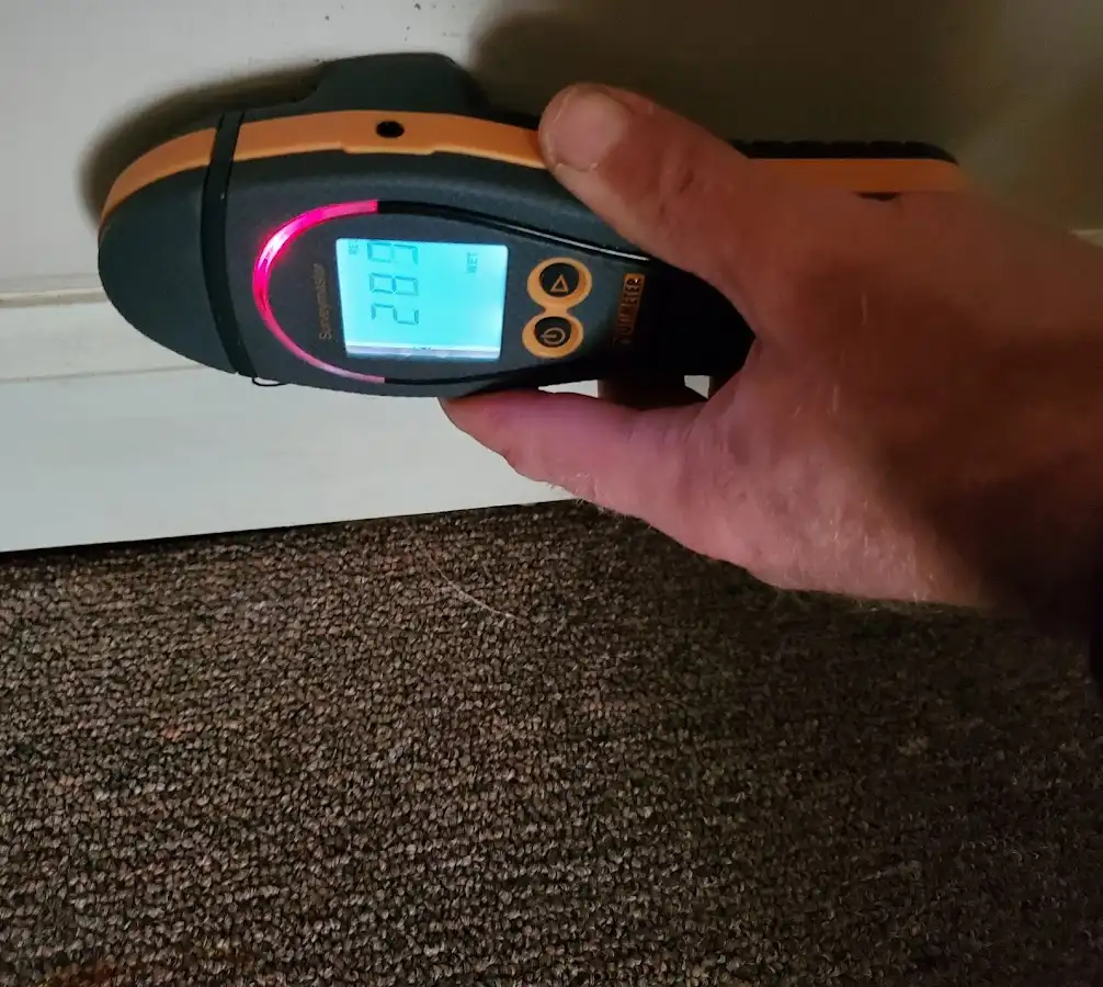 Moisture detection at baseboard during Mold Inspection & Testing in Glenvar Heights